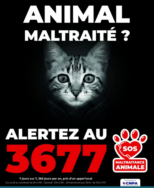 Bilan caritatif 2024 : Maxi Zoo, toujours aussi engagé auprès des associations et des refuges